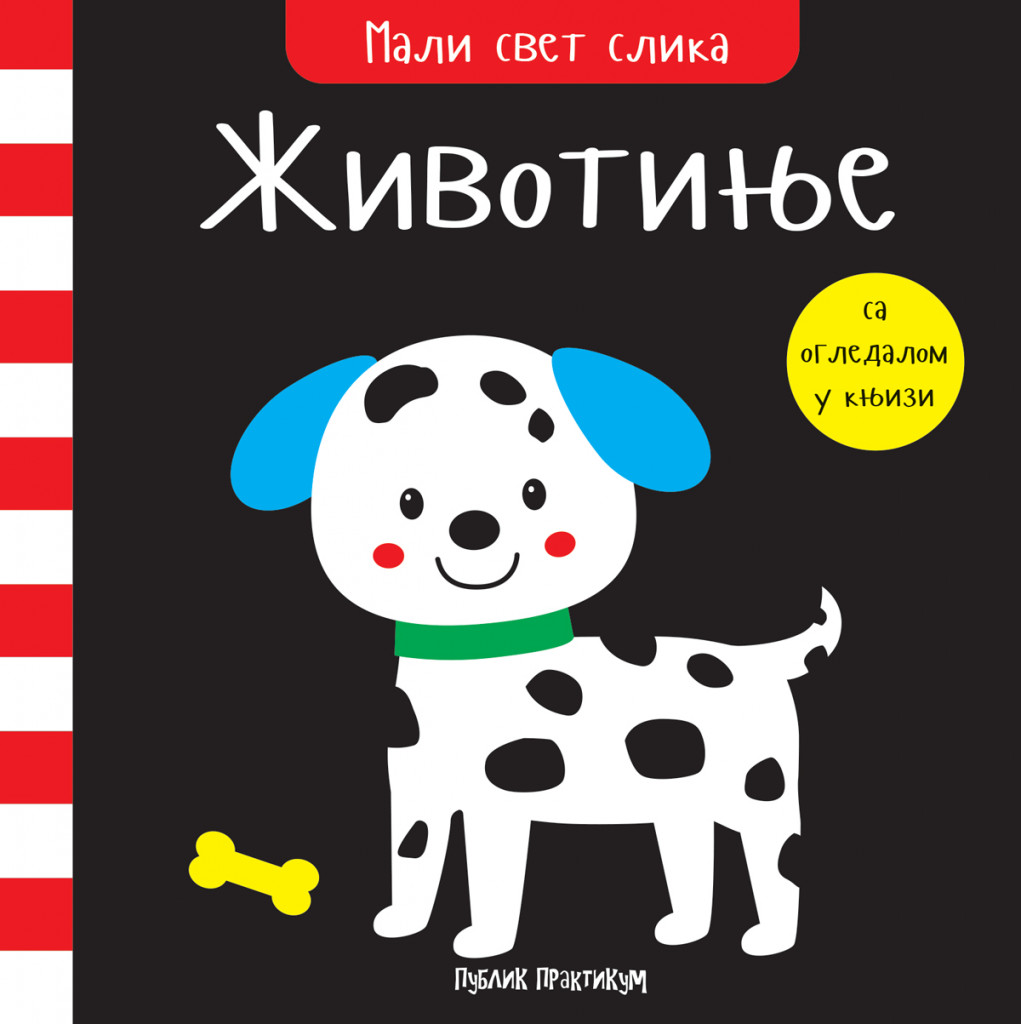 Korica knjige